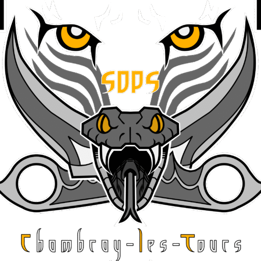 SDPS 37 : Se défendre grâce à des techniques simples et efficaces !